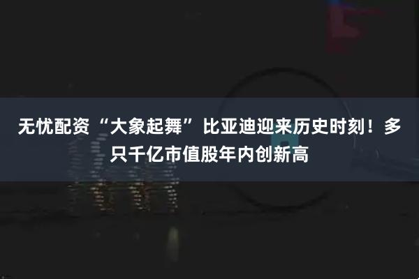 无忧配资 “大象起舞” 比亚迪迎来历史时刻！多只千亿市值股年内创新高
