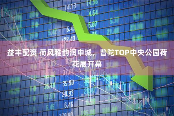 益丰配资 荷风雅韵润申城，普陀TOP中央公园荷花展开幕