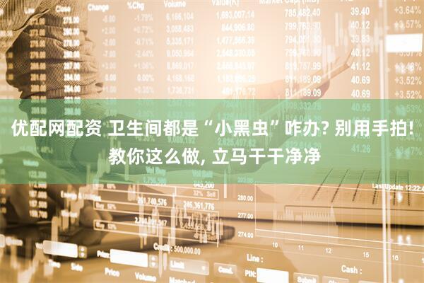 优配网配资 卫生间都是“小黑虫”咋办? 别用手拍! 教你这么做, 立马干干净净