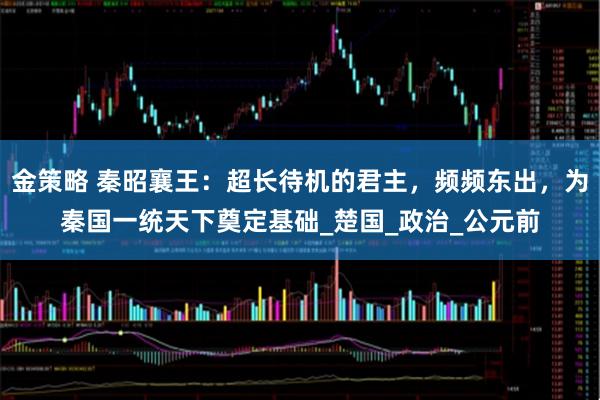 金策略 秦昭襄王：超长待机的君主，频频东出，为秦国一统天下奠定基础_楚国_政治_公元前